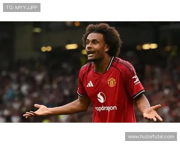 齐尔克泽渴望参加世界杯 罗马埃弗顿西汉姆争抢他